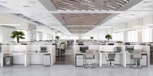The Impact of a Clean Workplace on Employee Productivity